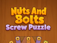 Nuts And Bolts Screw Puzzle